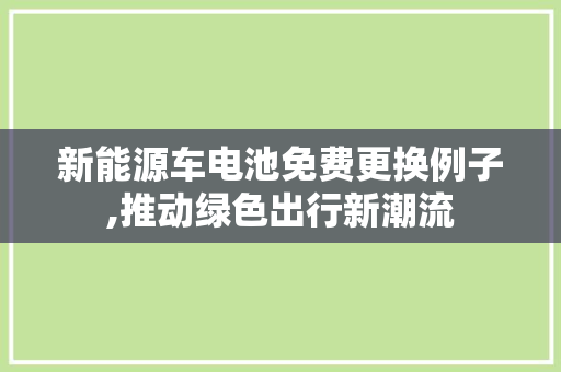 新能源车电池免费更换例子,推动绿色出行新潮流