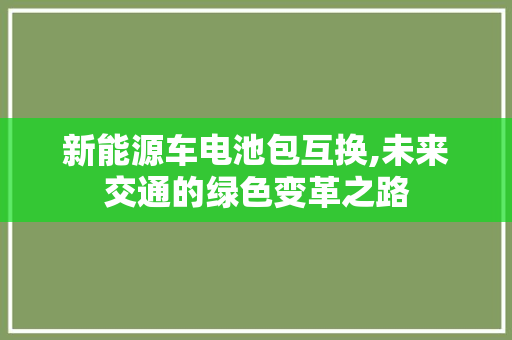 新能源车电池包互换,未来交通的绿色变革之路