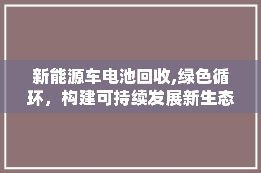 新能源车电池回收,绿色循环，构建可持续发展新生态