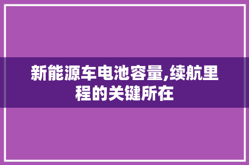 新能源车电池容量,续航里程的关键所在