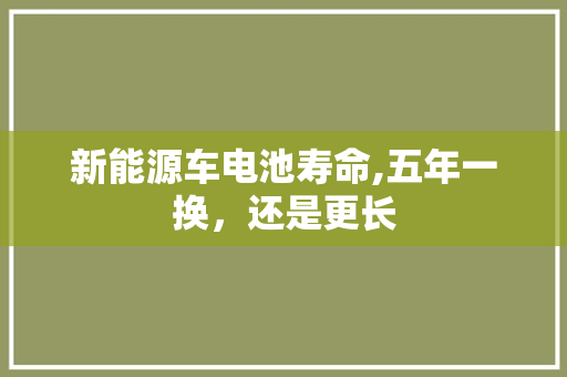 新能源车电池寿命,五年一换，还是更长