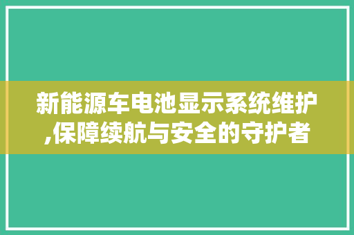 新能源车电池显示系统维护,保障续航与安全的守护者