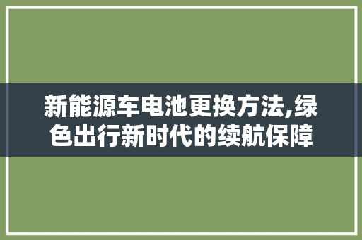 新能源车电池更换方法,绿色出行新时代的续航保障