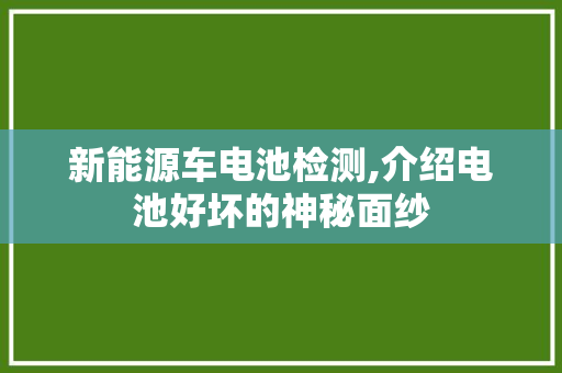 新能源车电池检测,介绍电池好坏的神秘面纱