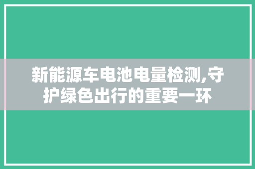 新能源车电池电量检测,守护绿色出行的重要一环