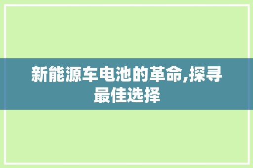 新能源车电池的革命,探寻最佳选择