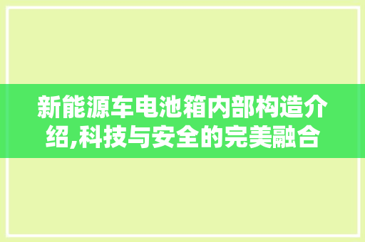 新能源车电池箱内部构造介绍,科技与安全的完美融合
