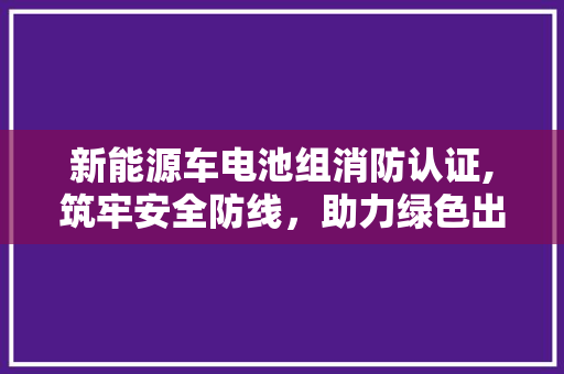 新能源车电池组消防认证,筑牢安全防线，助力绿色出行