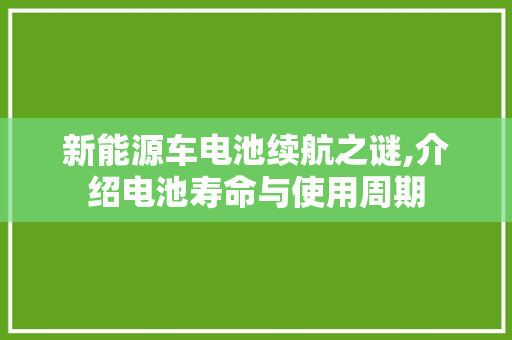 新能源车电池续航之谜,介绍电池寿命与使用周期