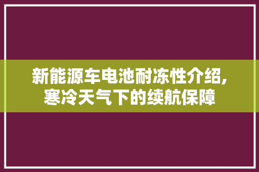 新能源车电池耐冻性介绍,寒冷天气下的续航保障