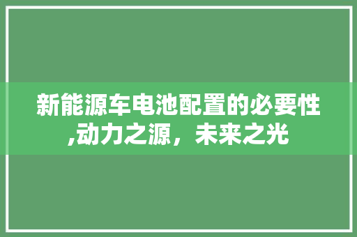 新能源车电池配置的必要性,动力之源，未来之光