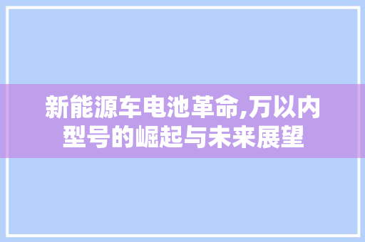 新能源车电池革命,万以内型号的崛起与未来展望