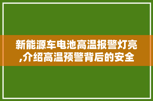 新能源车电池高温报警灯亮,介绍高温预警背后的安全隐患与应对步骤