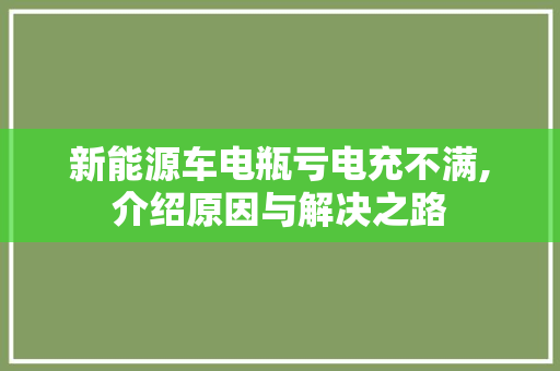 新能源车电瓶亏电充不满,介绍原因与解决之路