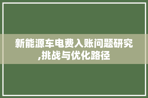 新能源车电费入账问题研究,挑战与优化路径