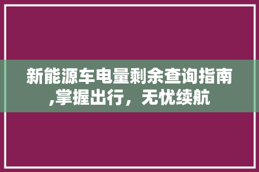 新能源车电量剩余查询指南,掌握出行，无忧续航