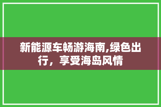 新能源车畅游海南,绿色出行，享受海岛风情