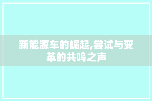新能源车的崛起,尝试与变革的共鸣之声