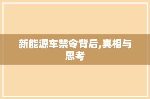 新能源车禁令背后,真相与思考