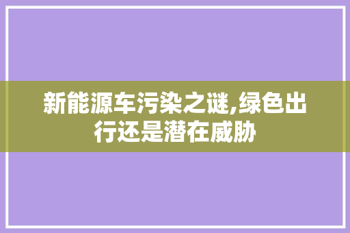 新能源车污染之谜,绿色出行还是潜在威胁