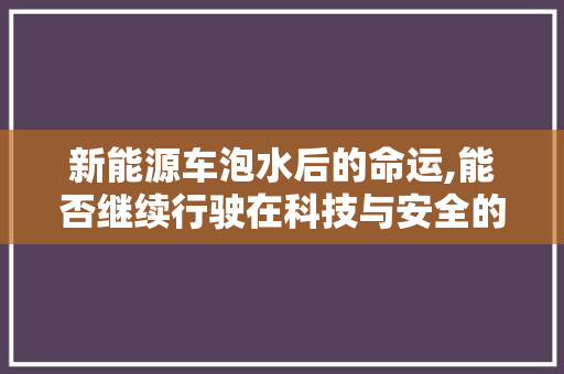 新能源车泡水后的命运,能否继续行驶在科技与安全的道路上