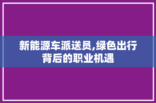 新能源车派送员,绿色出行背后的职业机遇