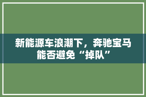 新能源车浪潮下，奔驰宝马能否避免“掉队”
