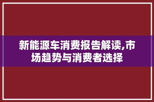 新能源车消费报告解读,市场趋势与消费者选择