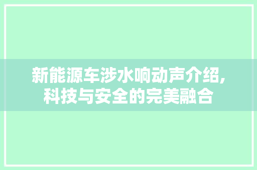 新能源车涉水响动声介绍,科技与安全的完美融合