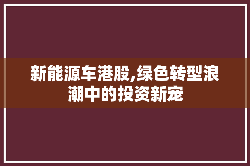 新能源车港股,绿色转型浪潮中的投资新宠