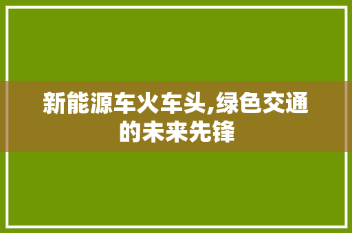 新能源车火车头,绿色交通的未来先锋