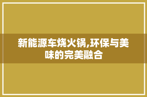 新能源车烧火锅,环保与美味的完美融合
