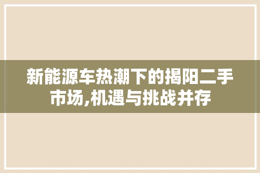 新能源车热潮下的揭阳二手市场,机遇与挑战并存
