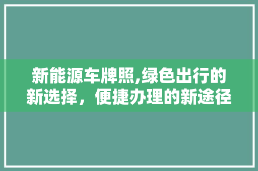 新能源车牌照,绿色出行的新选择，便捷办理的新途径
