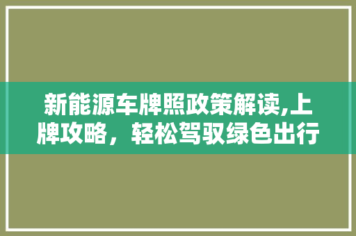 新能源车牌照政策解读,上牌攻略，轻松驾驭绿色出行