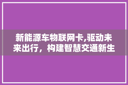 新能源车物联网卡,驱动未来出行，构建智慧交通新生态