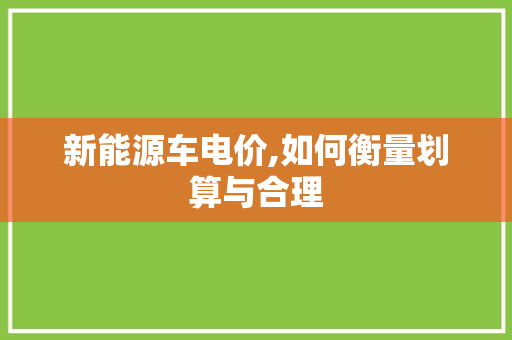 新能源车电价,如何衡量划算与合理