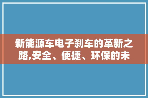 新能源车电子刹车的革新之路,安全、便捷、环保的未来出行方式
