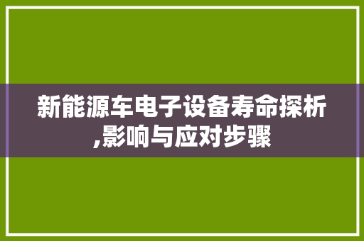 新能源车电子设备寿命探析,影响与应对步骤