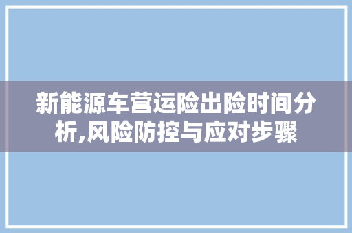 新能源车营运险出险时间分析,风险防控与应对步骤