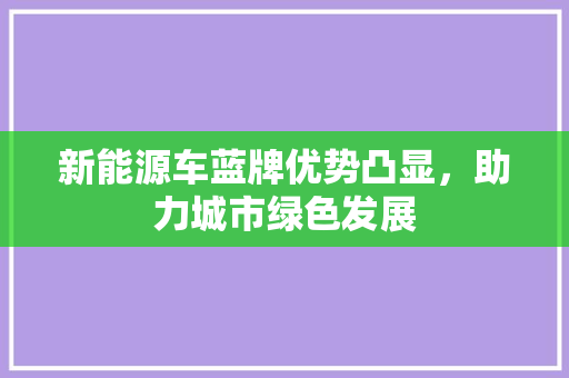 新能源车蓝牌优势凸显，助力城市绿色发展