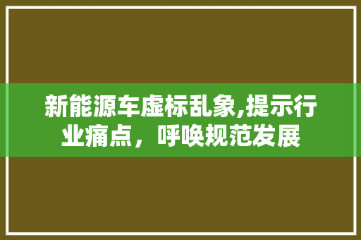 新能源车虚标乱象,提示行业痛点，呼唤规范发展