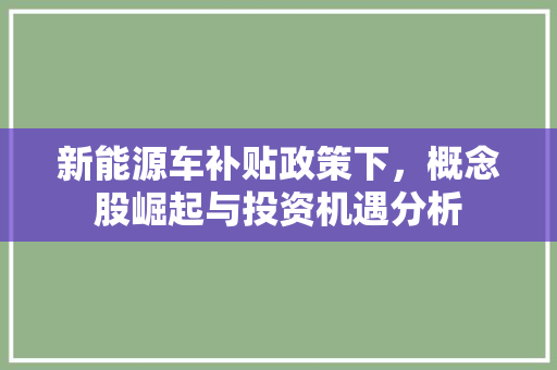 新能源车补贴政策下，概念股崛起与投资机遇分析