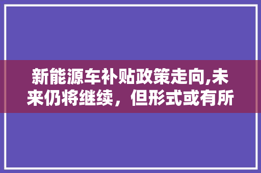 新能源车补贴政策走向,未来仍将继续，但形式或有所变化