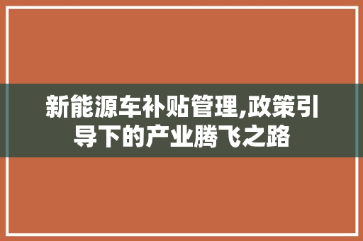 新能源车补贴管理,政策引导下的产业腾飞之路