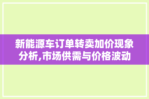 新能源车订单转卖加价现象分析,市场供需与价格波动