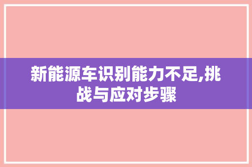 新能源车识别能力不足,挑战与应对步骤