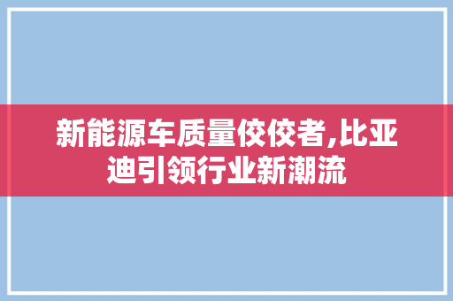 新能源车质量佼佼者,比亚迪引领行业新潮流