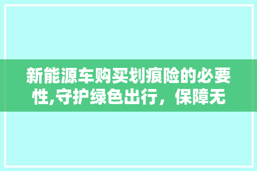 新能源车购买划痕险的必要性,守护绿色出行，保障无忧