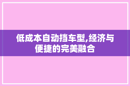 低成本自动挡车型,经济与便捷的完美融合